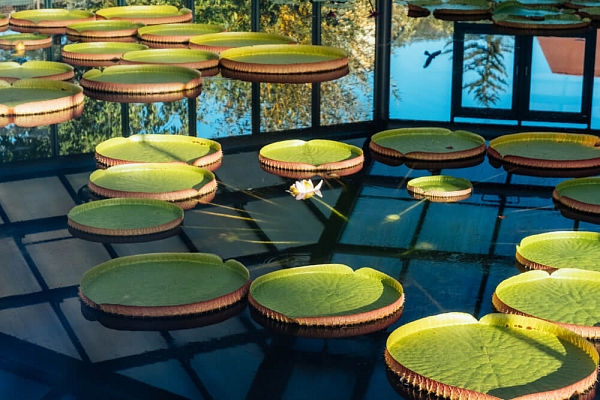 Geschichte von Reichenberg